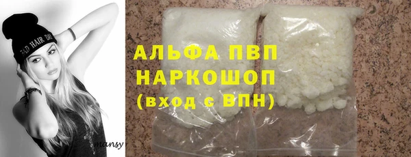 прущие крисы Бородино