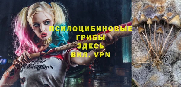прущие крисы Бородино