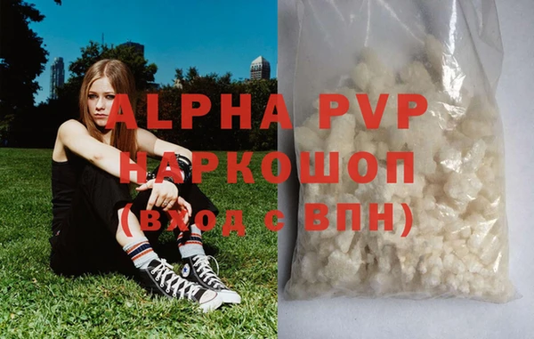прущие крисы Бородино