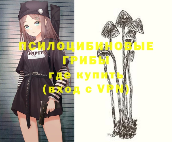 прущие крисы Бородино