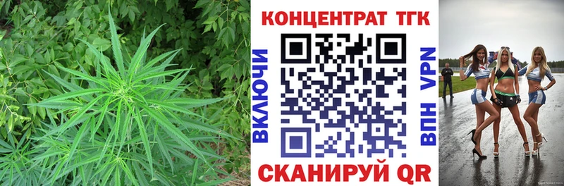 ТГК Wax  Купить где  Няндома 