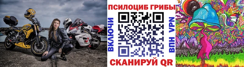 Псилоцибиновые грибы Psilocybe Купить где Няндома