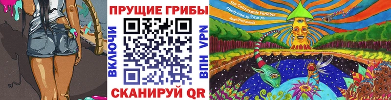 Галлюциногенные грибы Psilocybine cubensis Няндома