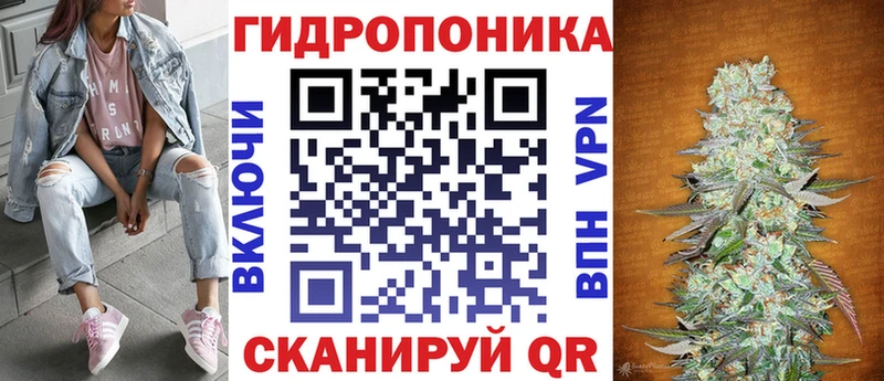 Купить  Няндома  Бошки Шишки гибрид 